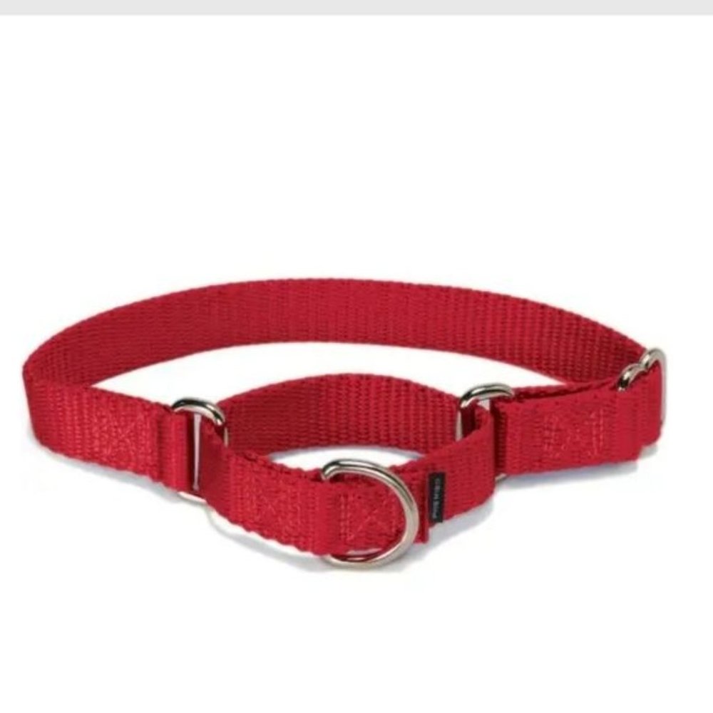 blueberry pet Safety Training Dog Collar - Picture 3 of 4